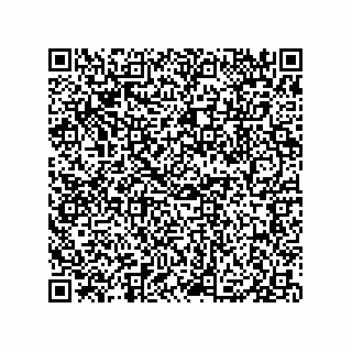 vCard 79833017333