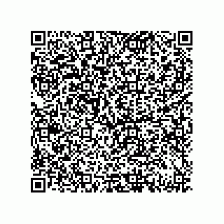 vCard 79833017379