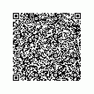 vCard 79833017681