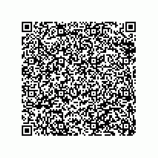 vCard 79833017809