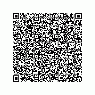 vCard 79833018413