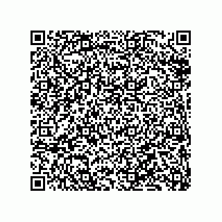 vCard 79833018509