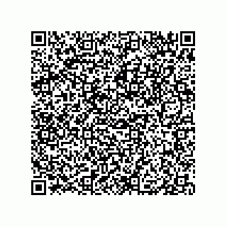 vCard 79833018513