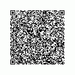 vCard 79833018931