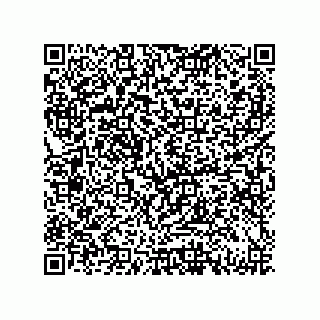 vCard 79833019033