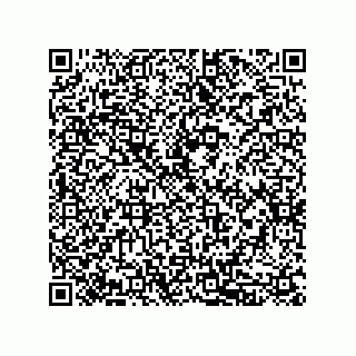 vCard 79833019139