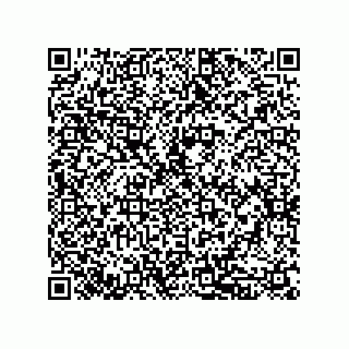 vCard 79833019171