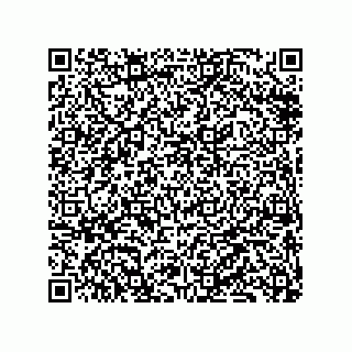 vCard 79833019287