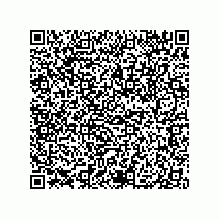 vCard 79833019328