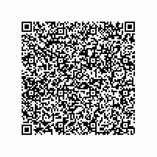 vCard 79833019381