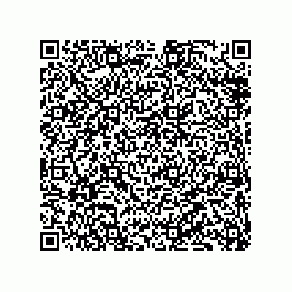 vCard 79833019385