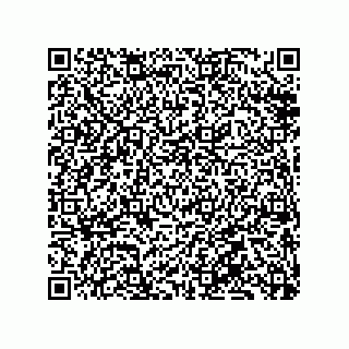vCard 79833019520