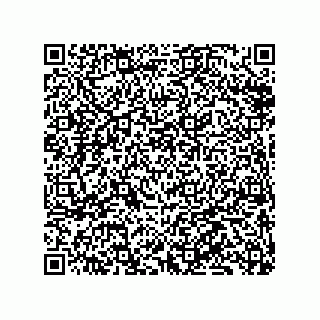 vCard 79833019601