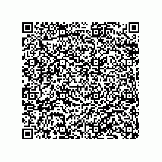 vCard 79833019841