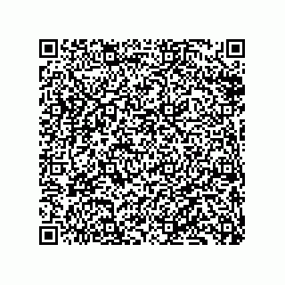 vCard 79833019905