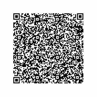 vCard 79833019911