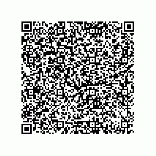 vCard 79833020085