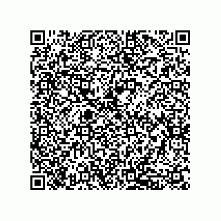 vCard 79833020091