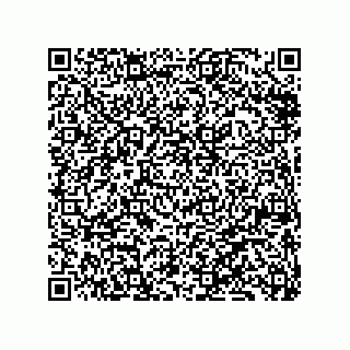 vCard 79833020099