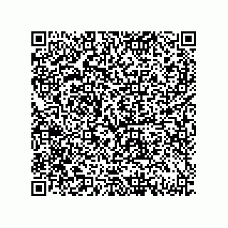 vCard 79833020138