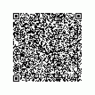 vCard 79833020285