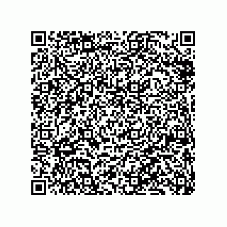 vCard 79833020299