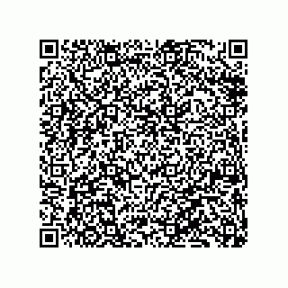 vCard 79833020481