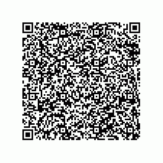 vCard 79833020541
