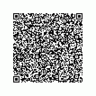 vCard 79833020804
