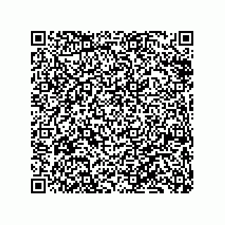 vCard 79833020871