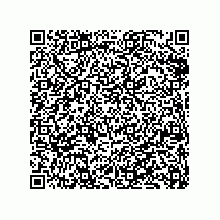 vCard 79833020919