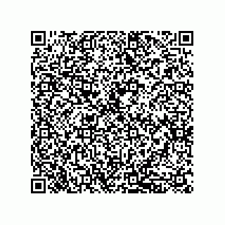 vCard 79833020931