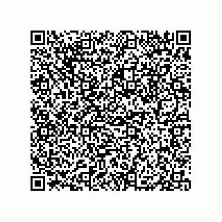vCard 79833021005
