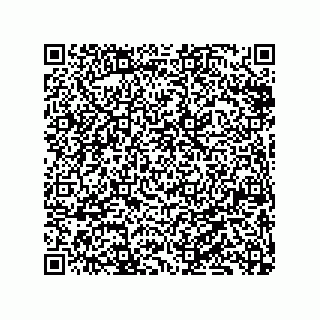 vCard 79833021133