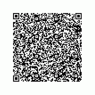 vCard 79833021911