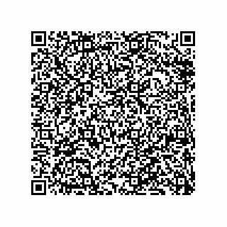 vCard 79833024384