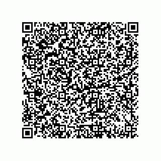 vCard 79833024913