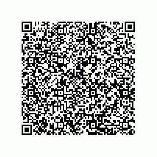 vCard 79833025379