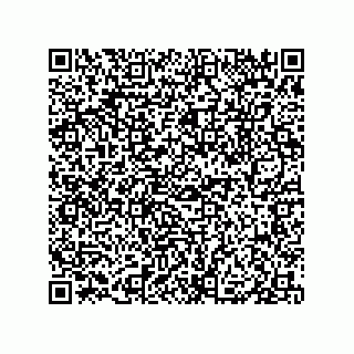 vCard 79833025729