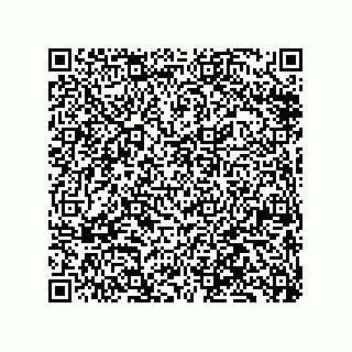 vCard 79833026688