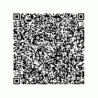 vCard 79833028003