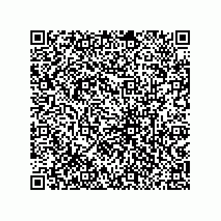 vCard 79833028004
