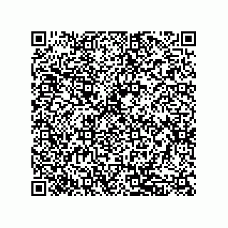 vCard 79833028033