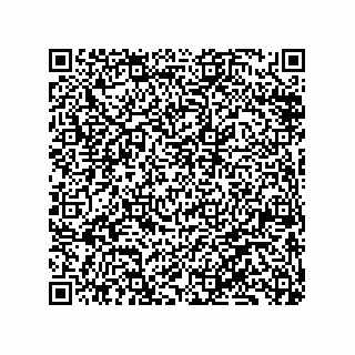 vCard 79833028041