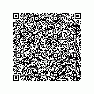 vCard 79833028073