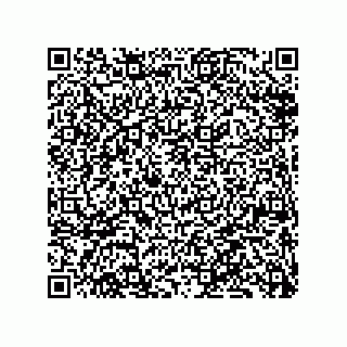 vCard 79833028204