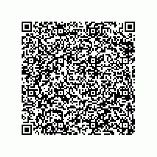 vCard 79833028299