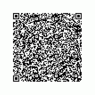 vCard 79833029003