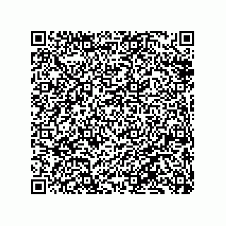 vCard 79833029020