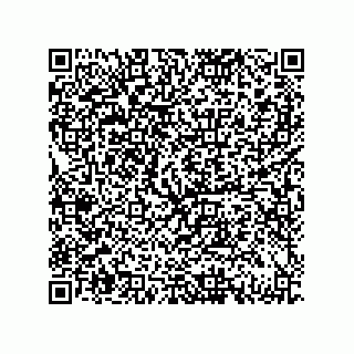 vCard 79833029140